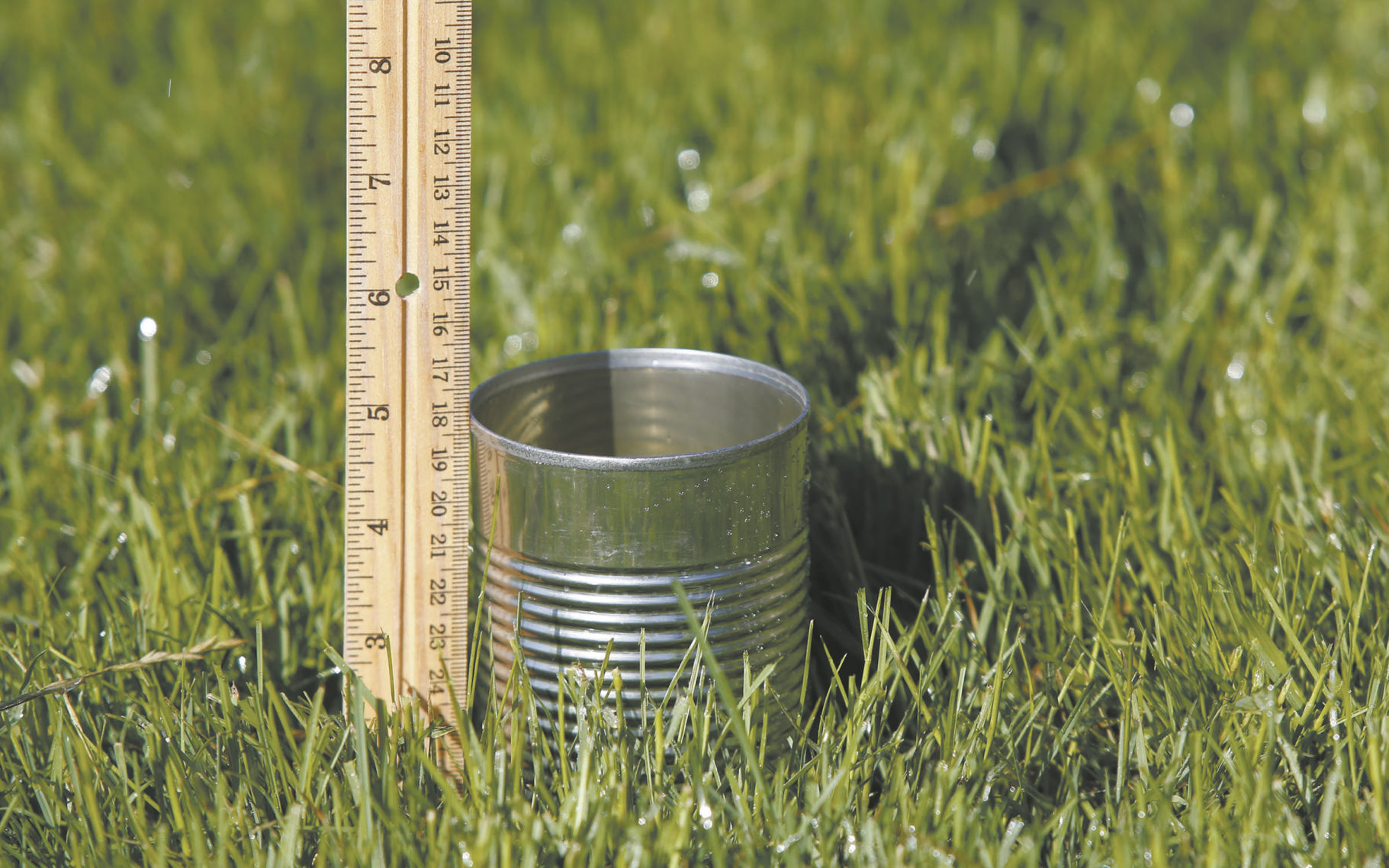 The secret to watering lawns properly